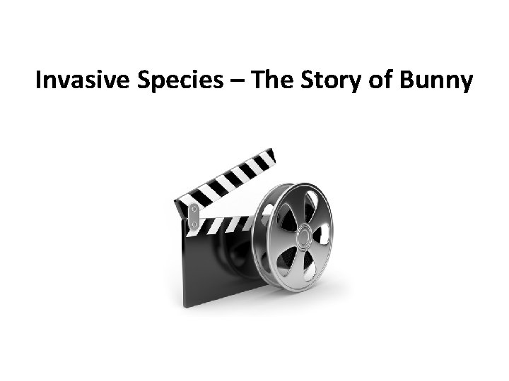 Invasive Species – The Story of Bunny 
