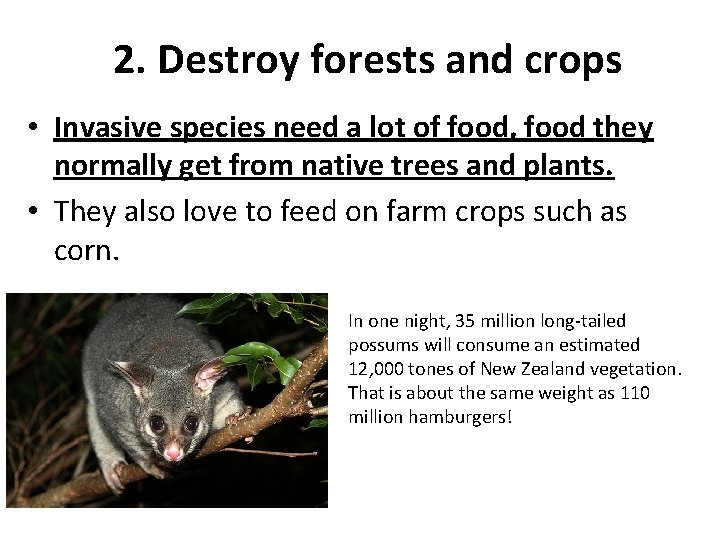 2. Destroy forests and crops • Invasive species need a lot of food, food