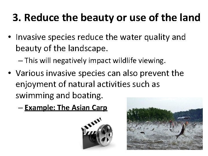 3. Reduce the beauty or use of the land • Invasive species reduce the
