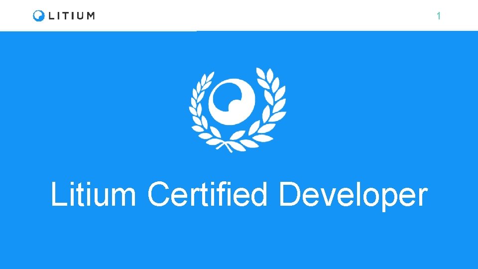 1 Litium Certified Developer 