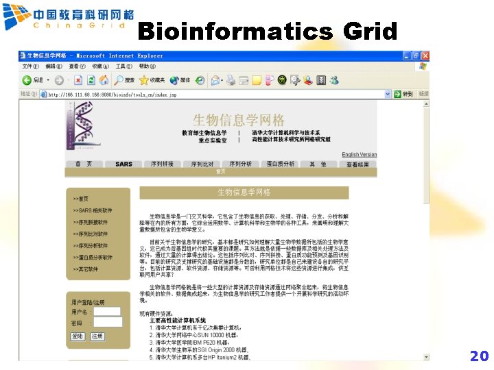 Bioinformatics Grid 20 20 