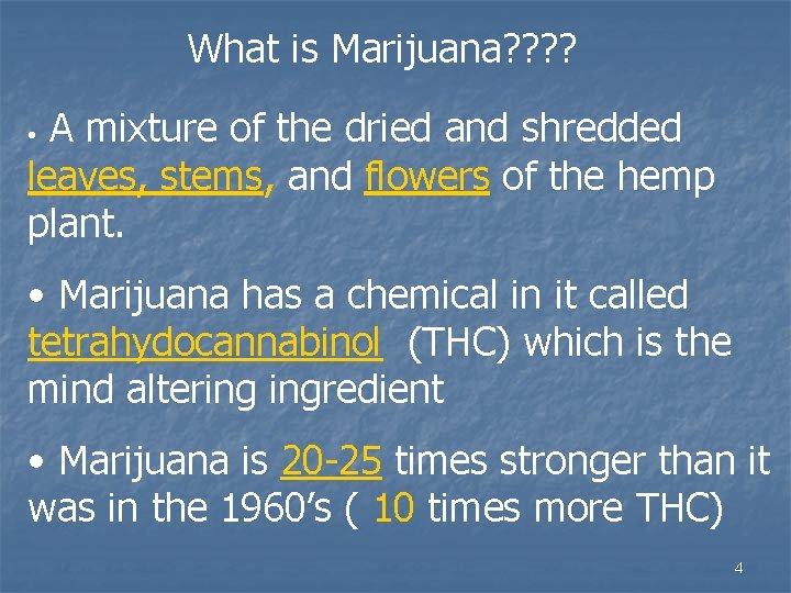 What is Marijuana? ? A mixture of the dried and shredded leaves, stems, and