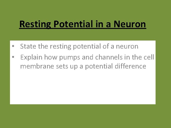 Resting Potential in a Neuron • State the resting potential of a neuron •