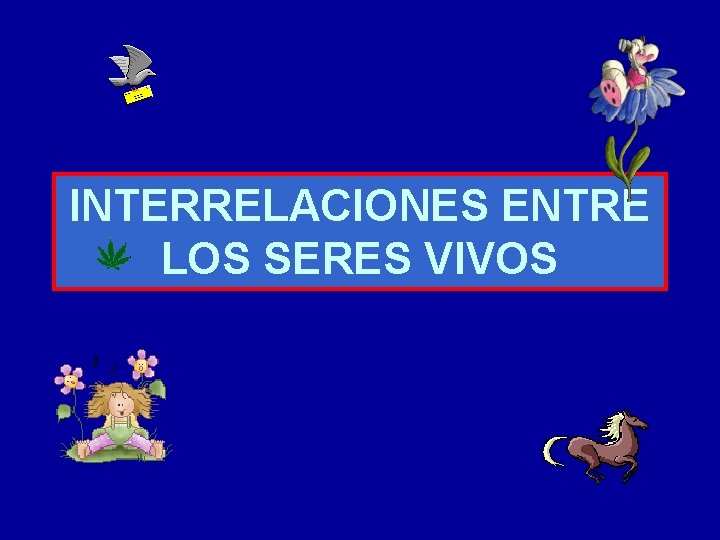 INTERRELACIONES ENTRE LOS SERES VIVOS 