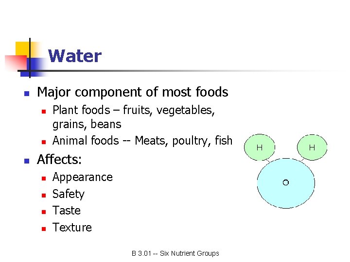 Water n Major component of most foods n n n Plant foods – fruits,