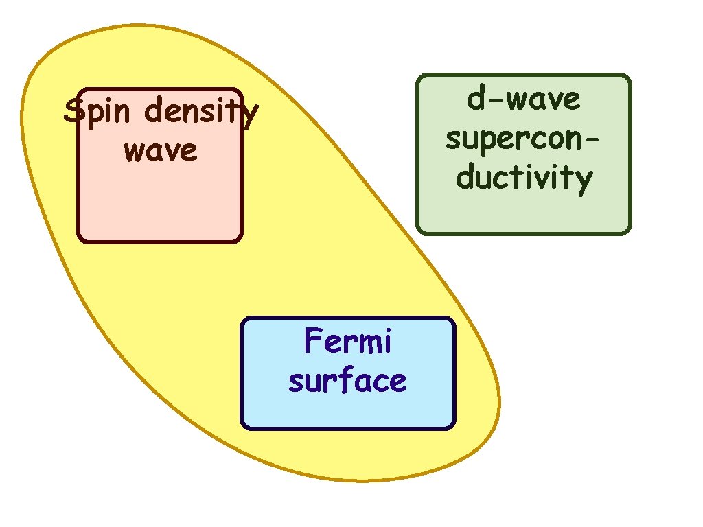 d-wave superconductivity Spin density wave Fermi surface 