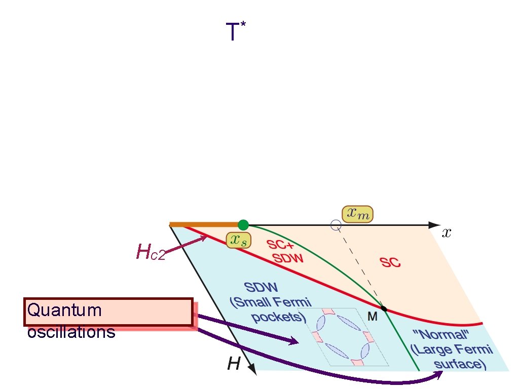 T* Hc 2 Quantum oscillations 