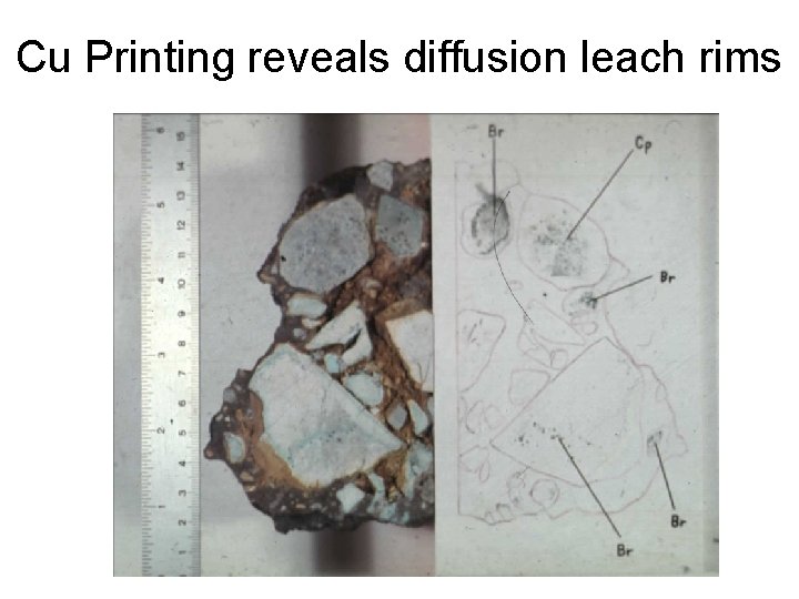 Cu Printing reveals diffusion leach rims 