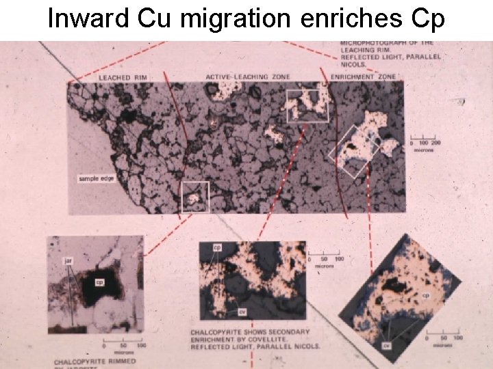 Inward Cu migration enriches Cp 