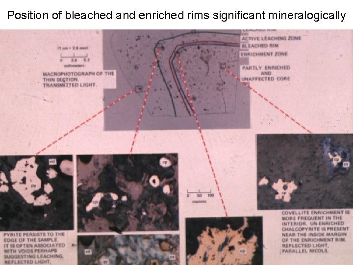 Position of bleached and enriched rims significant mineralogically 