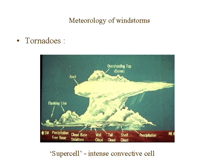 Meteorology of windstorms • Tornadoes : ‘Supercell’ - intense convective cell 