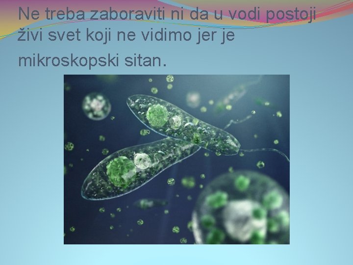 Ne treba zaboraviti ni da u vodi postoji živi svet koji ne vidimo jer