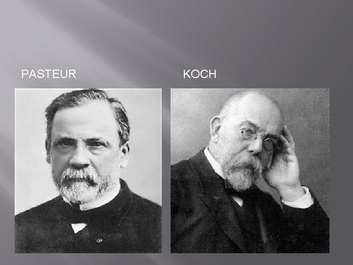 PASTEUR KOCH 