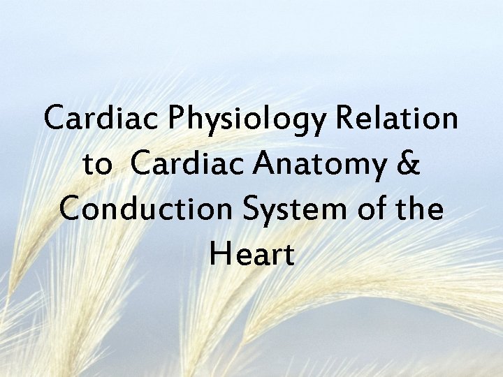 Cardiac Physiology Relation to Cardiac Anatomy & Conduction System of the Heart 