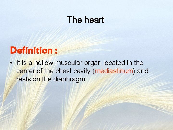 The heart Definition : • It is a hollow muscular organ located in the