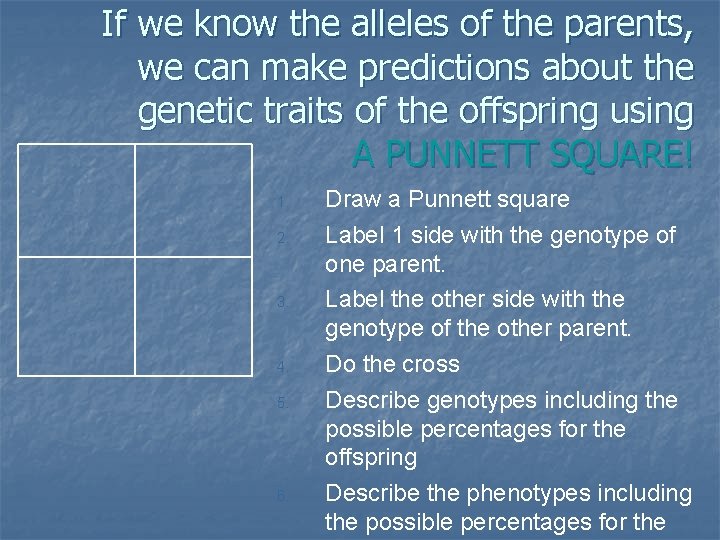 If we know the alleles of the parents, we can make predictions about the