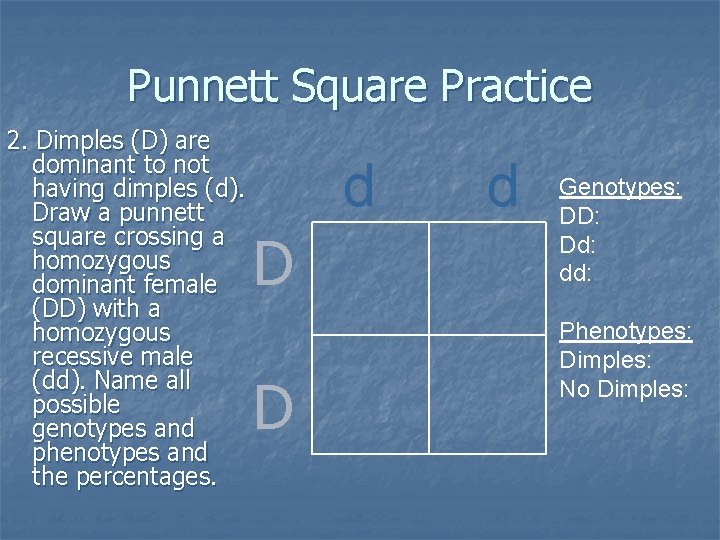 Punnett Square Practice 2. Dimples (D) are dominant to not having dimples (d). Draw