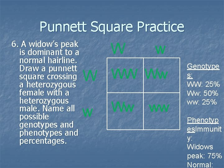 Punnett Square Practice 6. A widow’s peak is dominant to a normal hairline. Draw