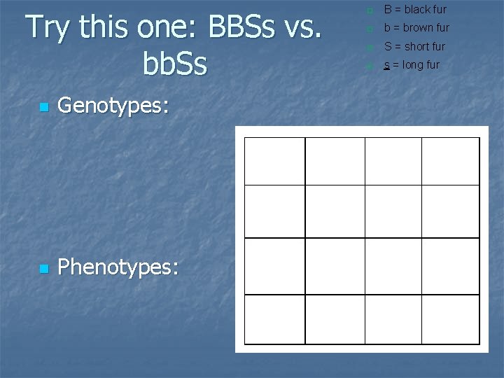 Try this one: BBSs vs. bb. Ss n Genotypes: n Phenotypes: B = black