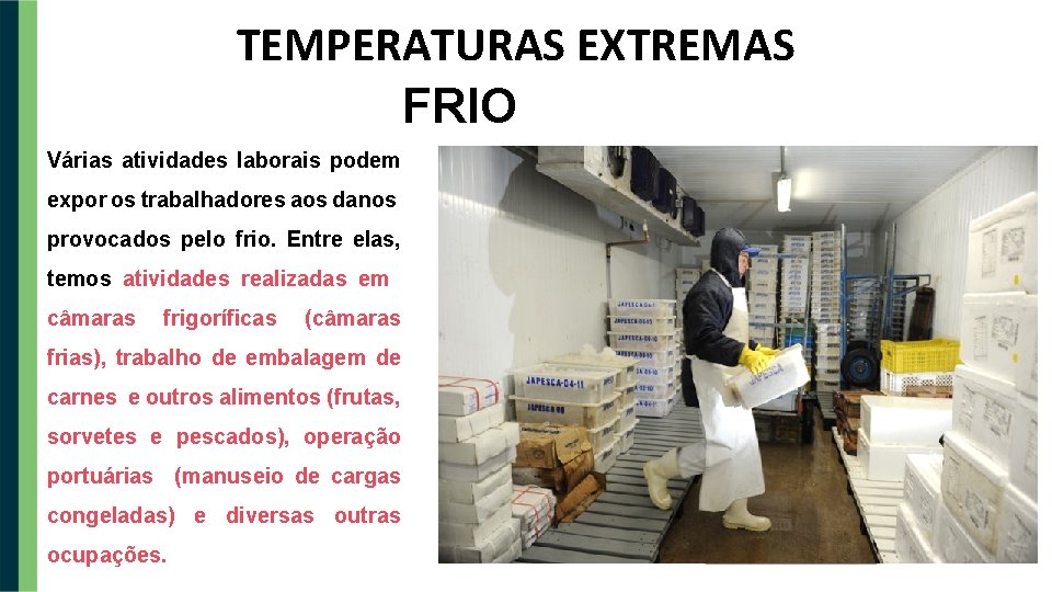 TEMPERATURAS EXTREMAS FRIO Várias atividades laborais podem expor os trabalhadores aos danos provocados pelo