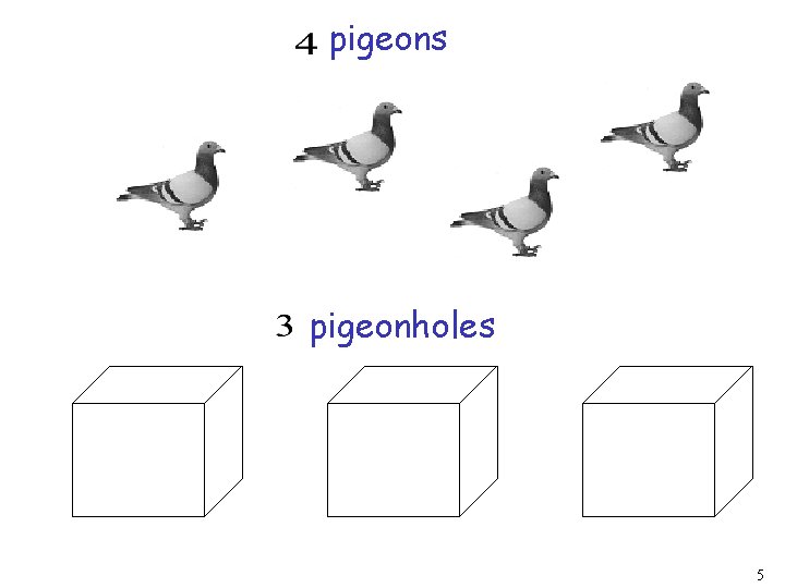 pigeons pigeonholes 5 