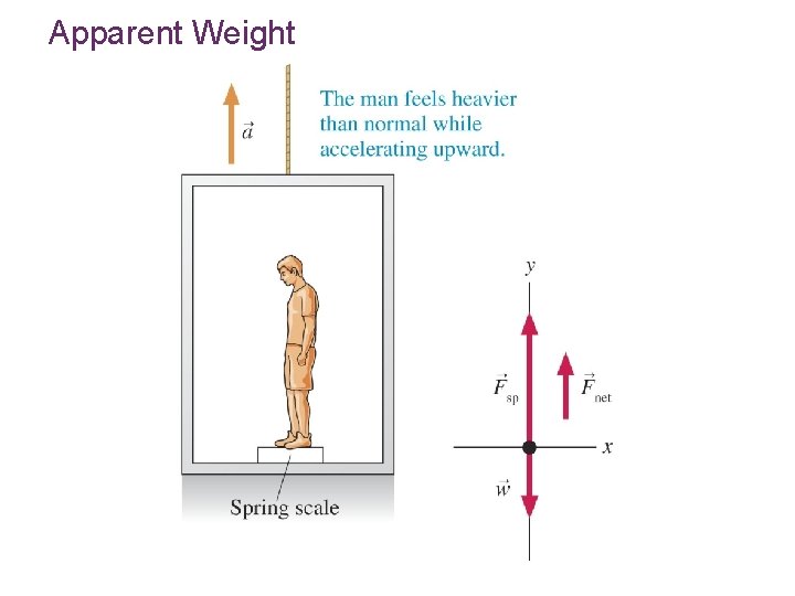 Apparent Weight 