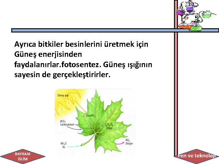 Ayrıca bitkiler besinlerini üretmek için Güneş enerjisinden faydalanırlar. fotosentez. Güneş ışığının sayesin de gerçekleştirirler.