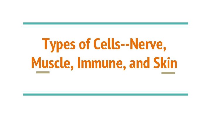 Types of Cells--Nerve, Muscle, Immune, and Skin 