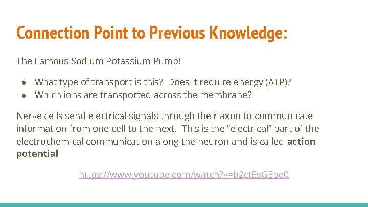 Connection Point to Previous Knowledge: The Famous Sodium Potassium Pump! ● What type of