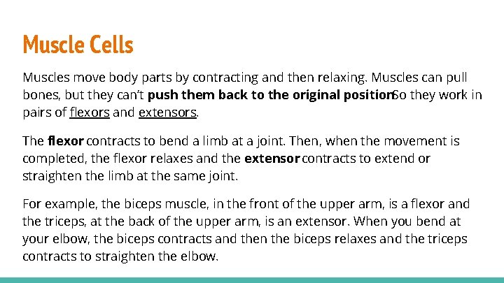 Muscle Cells Muscles move body parts by contracting and then relaxing. Muscles can pull