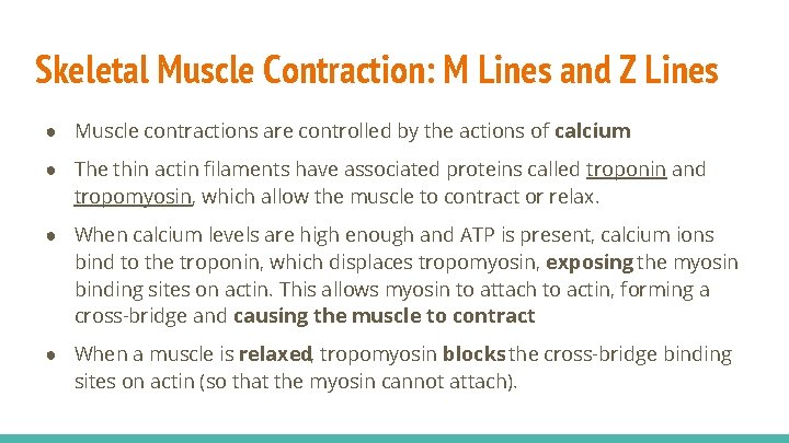Skeletal Muscle Contraction: M Lines and Z Lines ● Muscle contractions are controlled by