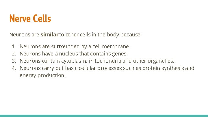Nerve Cells Neurons are similar to other cells in the body because: 1. 2.