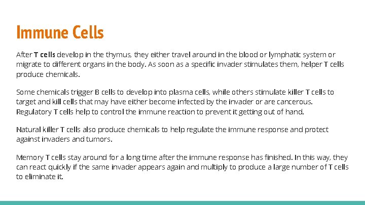 Immune Cells After T cells develop in the thymus, they either travel around in