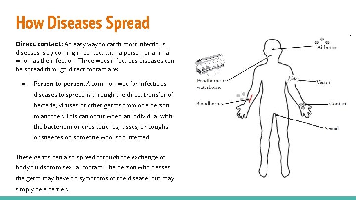 How Diseases Spread Direct contact: An easy way to catch most infectious diseases is