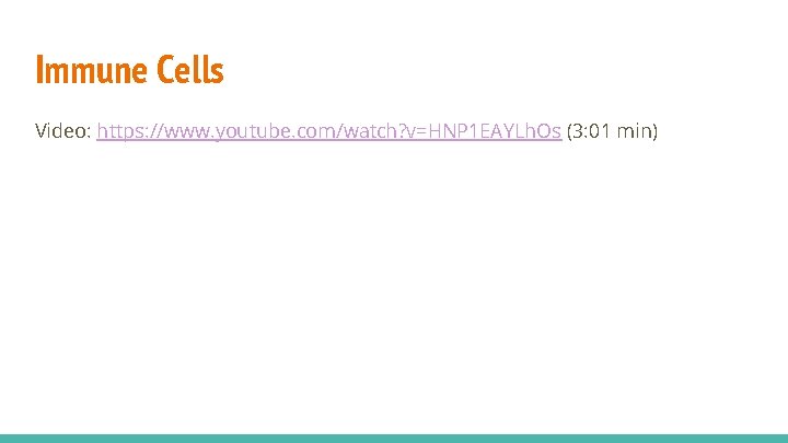 Immune Cells Video: https: //www. youtube. com/watch? v=HNP 1 EAYLh. Os (3: 01 min)
