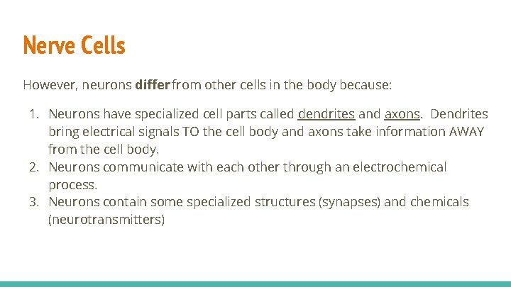 Nerve Cells However, neurons differ from other cells in the body because: 1. Neurons