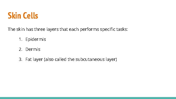 Skin Cells The skin has three layers that each performs specific tasks: 1. Epidermis