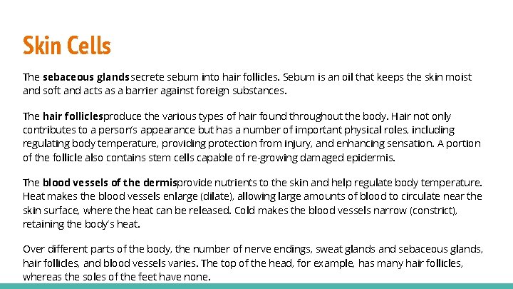 Skin Cells The sebaceous glands secrete sebum into hair follicles. Sebum is an oil