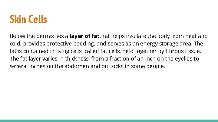 Skin Cells Below the dermis lies a layer of fatthat helps insulate the body