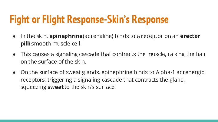 Fight or Flight Response-Skin’s Response ● In the skin, epinephrine (adrenaline) binds to a