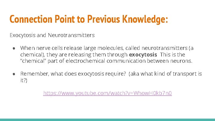 Connection Point to Previous Knowledge: Exocytosis and Neurotransmitters ● When nerve cells release large