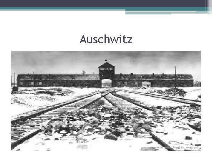 Auschwitz 