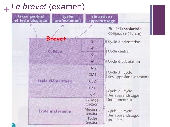 + Le brevet (examen) 