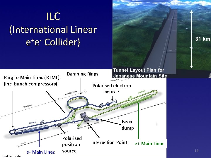 ILC (International Linear e+e- Collider) Ring to Main Linac (RTML) (inc. bunch compressors) Damping