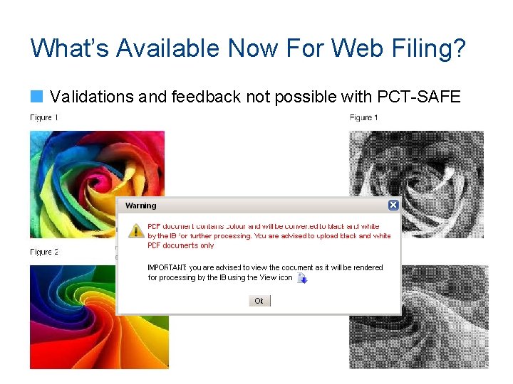 What’s Available Now For Web Filing? Validations and feedback not possible with PCT-SAFE 