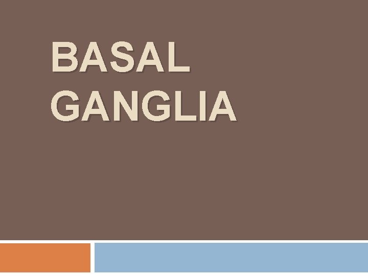 BASAL GANGLIA 