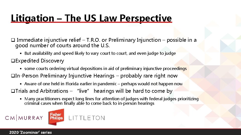 Litigation – The US Law Perspective q Immediate injunctive relief – T. R. O.