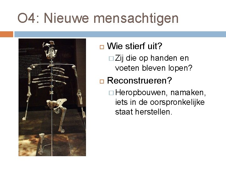 O 4: Nieuwe mensachtigen Wie stierf uit? � Zij die op handen en voeten