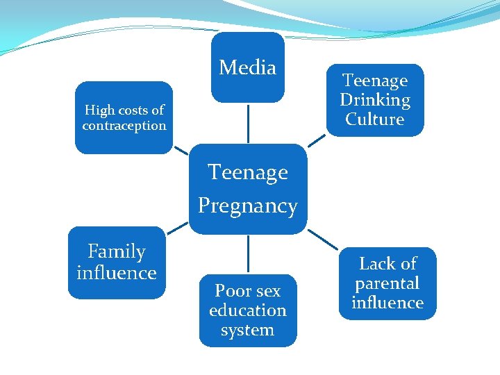 Media High costs of contraception Teenage Drinking Culture Teenage Pregnancy Family influence Poor sex