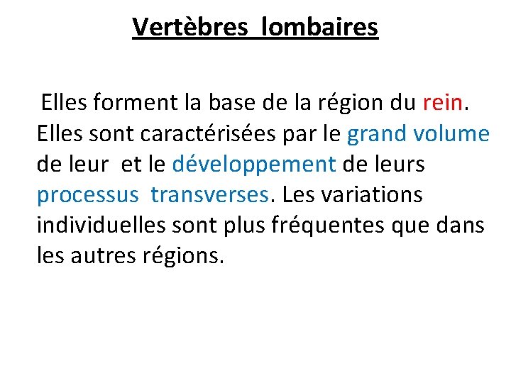 Vertèbres lombaires Elles forment la base de la région du rein. Elles sont caractérisées